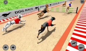 Đua Chó Tại Bet999