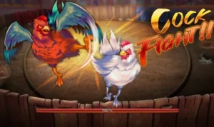 Đá Gà 3D Tại Bet999