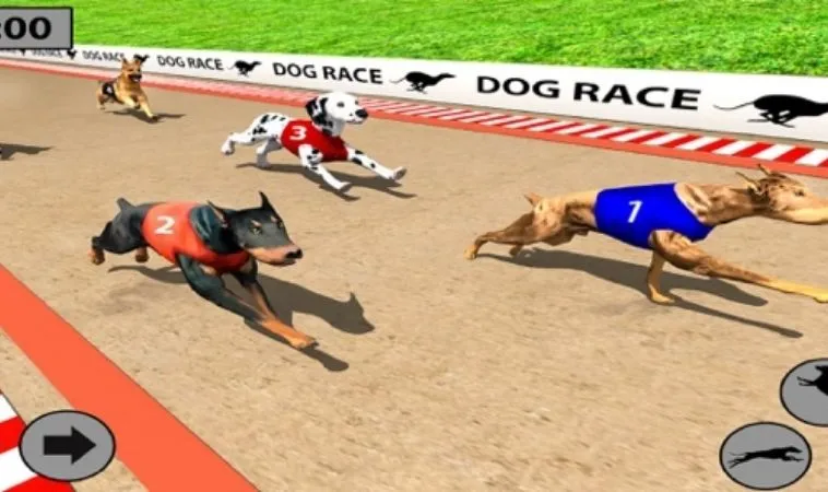 Cách Chơi Game Nhanh Đua Chó Tại Bet999 Đỉnh Cao Kịch Tính 2 Cách chơi game nhanh Đua Chó Tại Bet999