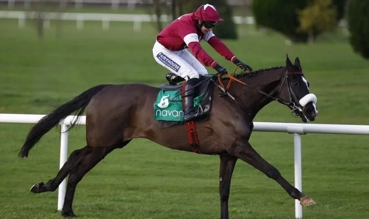 Cần tìm hiểu về bộ môn Đua Ngựa Bet999 trước khi tham gia cá cược